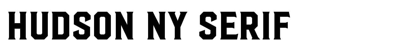 Hudson NY Serif